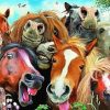 Funky Horses Paint By Numbers