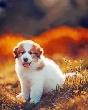 Great Pyrenees Puppy Paint By Numbers