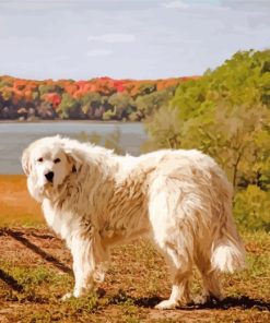 Great Pyrenees Dog Paint By Numbers