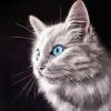 Pastel Kitty Paint By Numbers