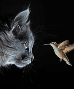 Grey Cat With Bird Paint By Numbers