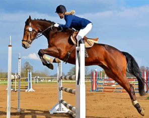 Horse Show Paint By Numbers