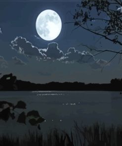 Moon And Lake Paint By Numbers