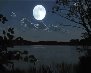 Moon And Lake Paint By Numbers