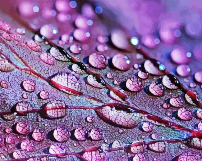 Leaf Raindrop Paint By Numbers