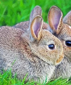 Hares In Grass Paint By Numbers