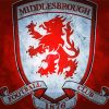 Middlesbrough Logo Paint By Numbers