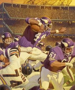 Vikings Team Paint By Numbers