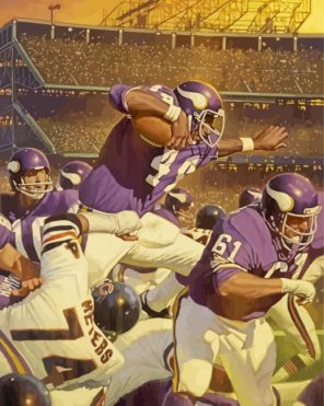 Vikings Team Paint By Numbers