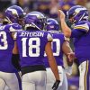 Minnesota Vikings Team Paint By Numbers