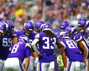 Minnesota Vikings Players Paint By Numbers