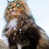Aesthetic Norwegian Kitty Paint By Numbers