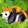 Panda And Fox Paint By Numbers