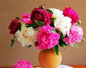 Beautiful Peony Flowers Paint By Numbers