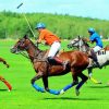 Polo Sport Paint By Numbers