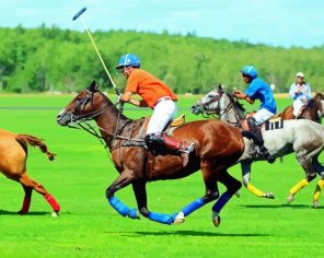 Polo Sport Paint By Numbers