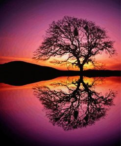 Tree Reflection In Water Paint By Numbers