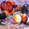 Roosters Fight Paint By Numbers