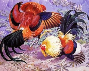 Roosters Fight Paint By Numbers