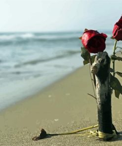 Flowers On Beach Paint By Numbers