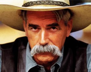 Sam Elliott Paint By Numbers