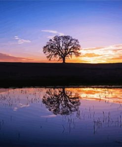 Tree In Water Silhouette Paint By Numbers