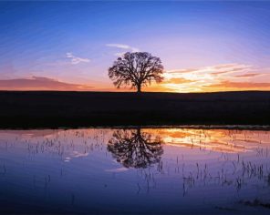 Tree In Water Silhouette Paint By Numbers