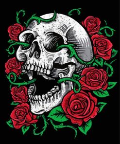 Skull And Roses Paint By Numbers