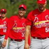 Cardinals Players Paint By Numbers