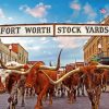 Stockyards Paint By Numbers