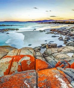 Tasmania Beach Paint By Numbers