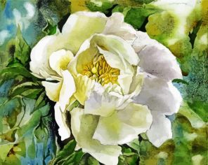 Aesthetic Peony Flower Paint By Numbers