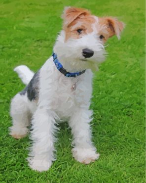 Wire Fox Terrier Paint By Numbers