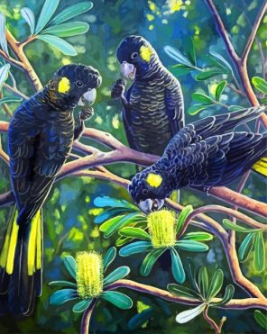 Black Cockatoos Paint By Numbers