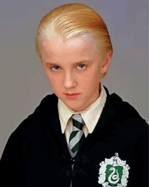 Young Drago Malefoy Paint By Numbers