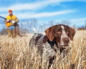 German Shorthaired Paint By Numbers