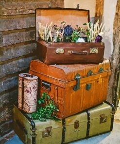 Old Travel Cases Paint By Numbers