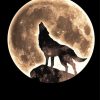 Moon With Wolf Paint By Numbers