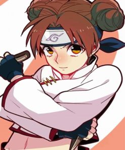 Tenten Character Paint By Numbers