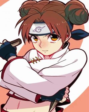 Tenten Character Paint By Numbers