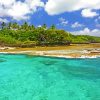 Niue Island Beach Paint By Numbers