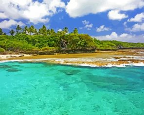 Niue Island Beach Paint By Numbers