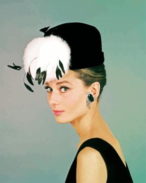 Breakfast At Tiffanys Paint By Numbers