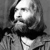 Charles Manson Paint By Numbers