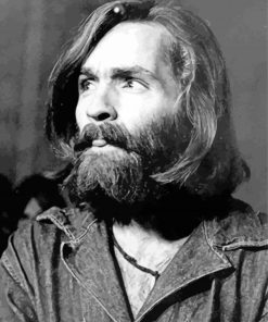 Charles Manson Paint By Numbers