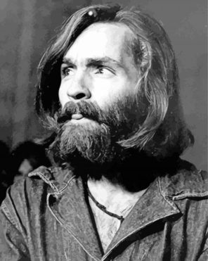 Charles Manson Paint By Numbers