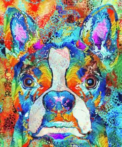 Boston Terrier Art Paint By Numbers