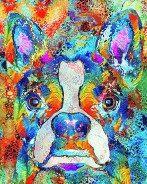 Boston Terrier Art Paint By Numbers