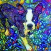 Artistic Boston Terrier Paint By Numbers