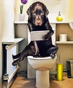 Black Dog In Toilet Paint By Numbers